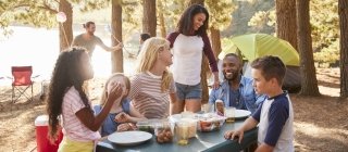 Family and friends camping